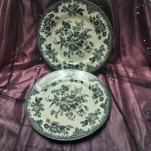 set of 2 floral large dinner plates